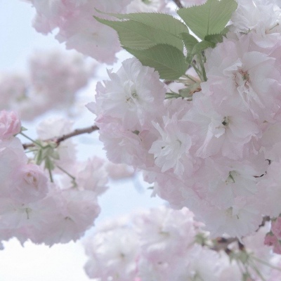 Furry绘画细节处理福瑞群