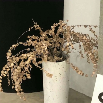 Furry插画故事感设计Furry群